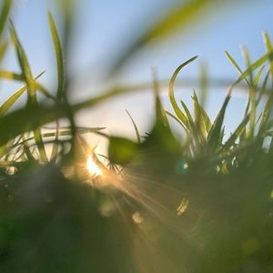 Meet your Posher, Jerissa